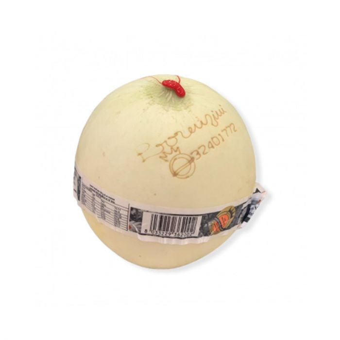 Melon "Lorenzini",   le meilleure au monde!