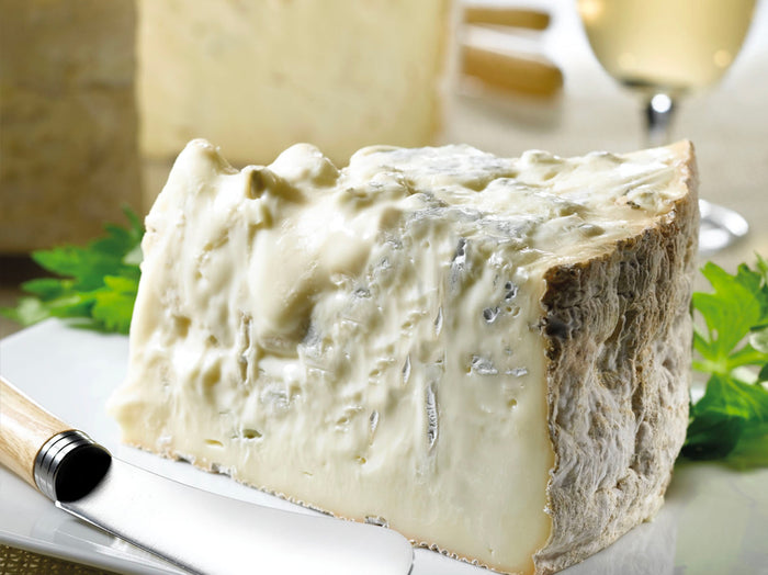 Gorgonzola DOP le mythique fromage Bleu RITAL